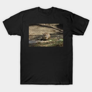 Prairie Dog T-Shirt